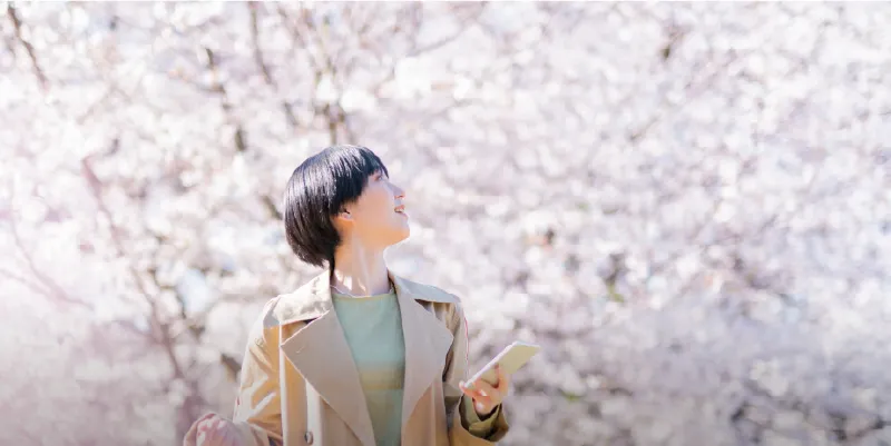 桜並木を見上げる女性